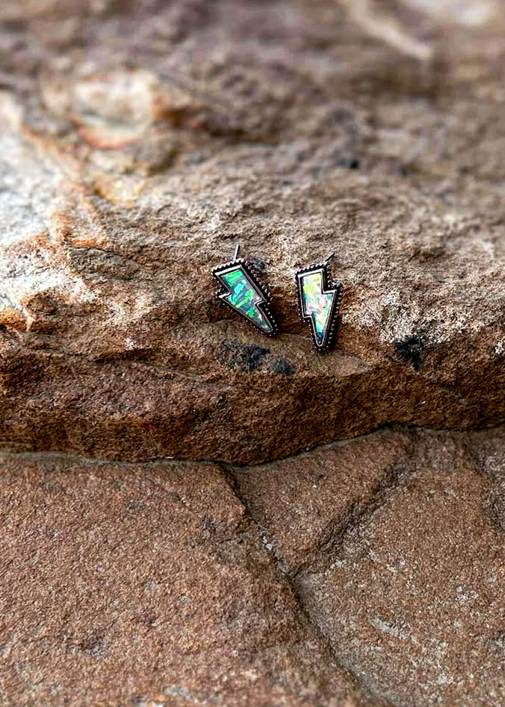 Thunder With Stone Stud Earrings Earrings Blue Tortoise